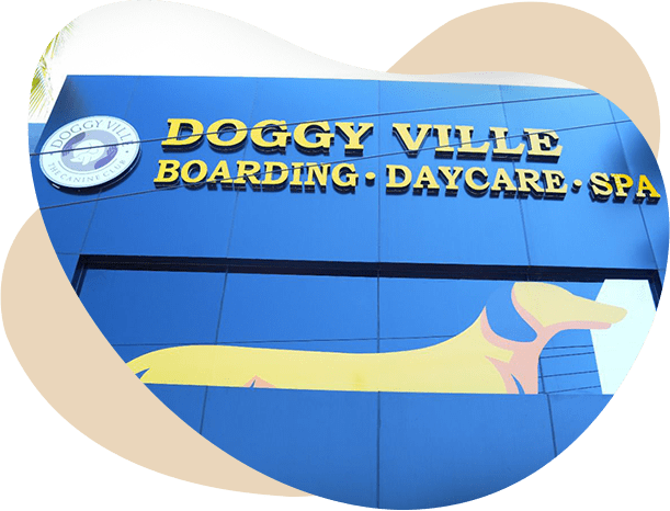 Doggy Ville The Canine Club