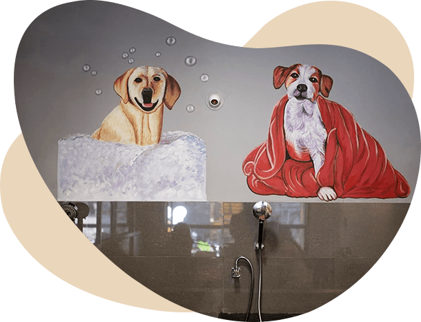 dog spa services in hyderabad