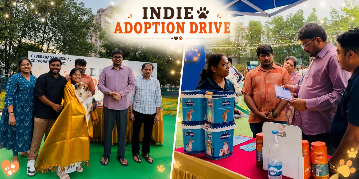 Indie-adoptiondrive-2-1