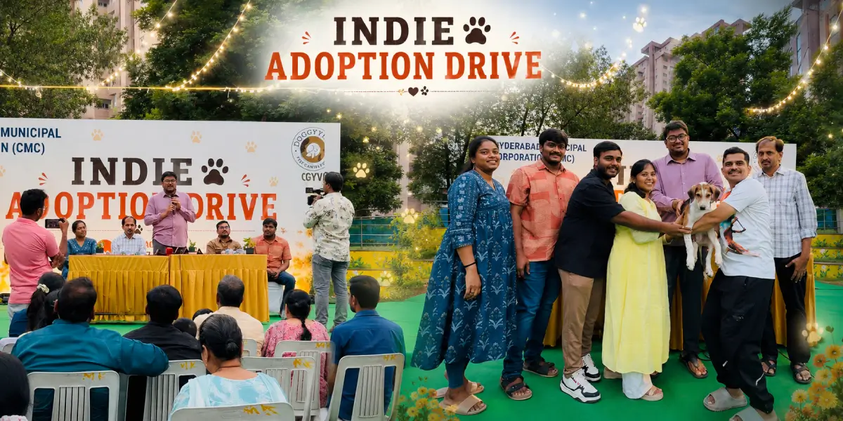 Indie-adoptiondrive-2