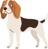 Cage-Free Dog Boarding & Daycare