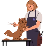Dog Grooming & Spa