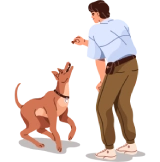 Dog Training