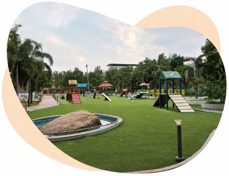 Dogpark Paly