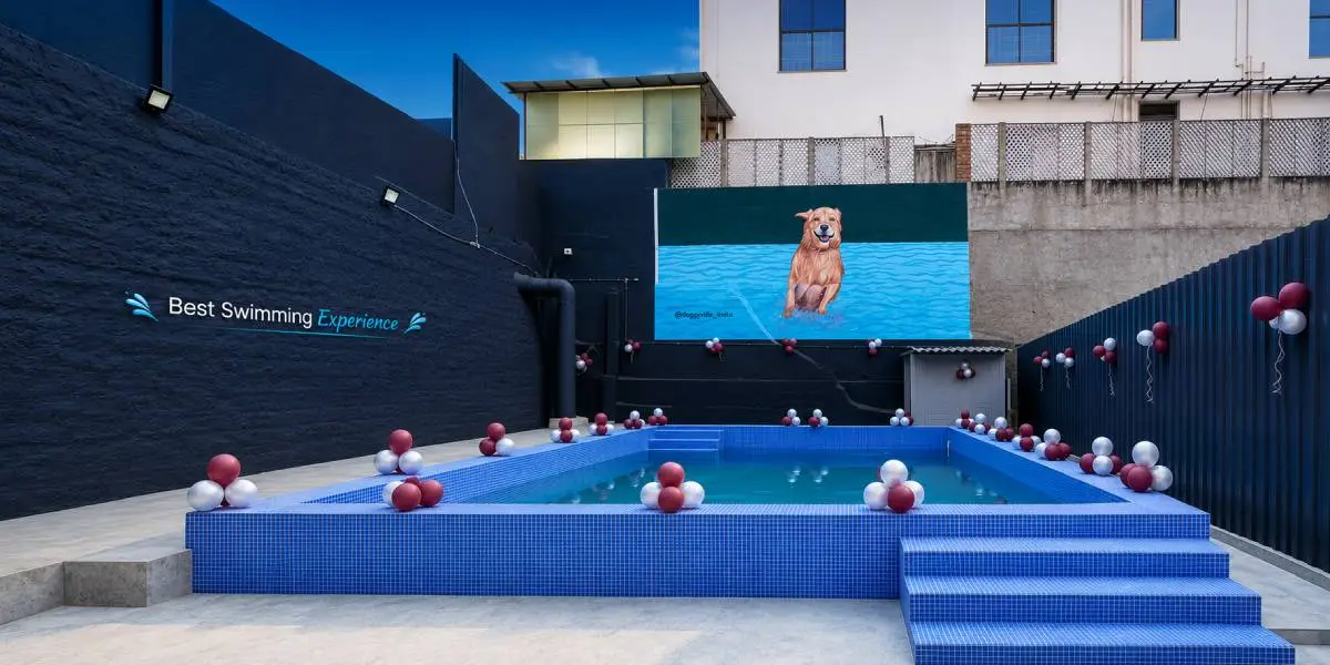 Swimming Pool Services