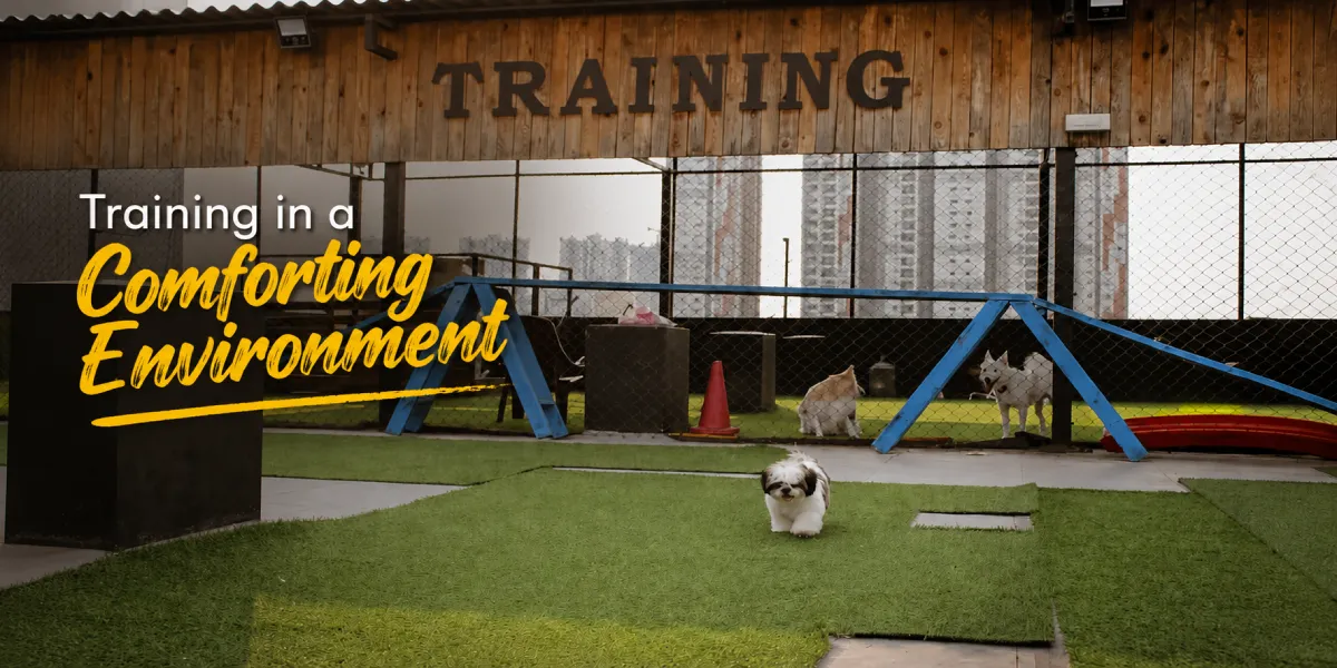 Training