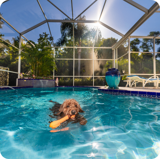 Swimming Session