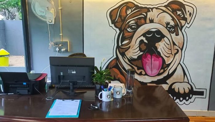 Doggy Ville The Canine Club