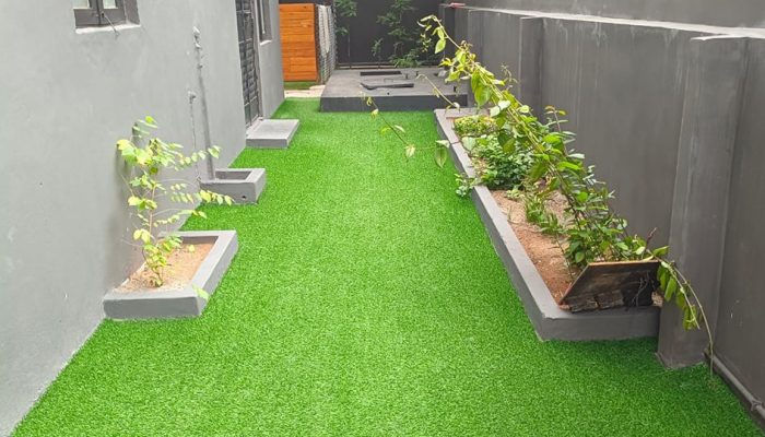 Doggy Ville The Canine Club