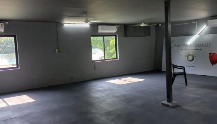 Doggy Ville The Canine Club