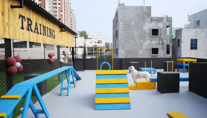 Doggy Ville The Canine Club