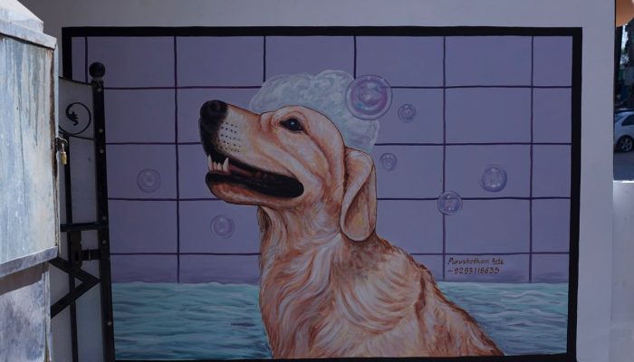 Doggy Ville The Canine Club