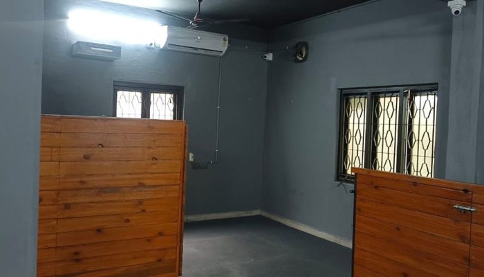 Doggy Ville The Canine Club