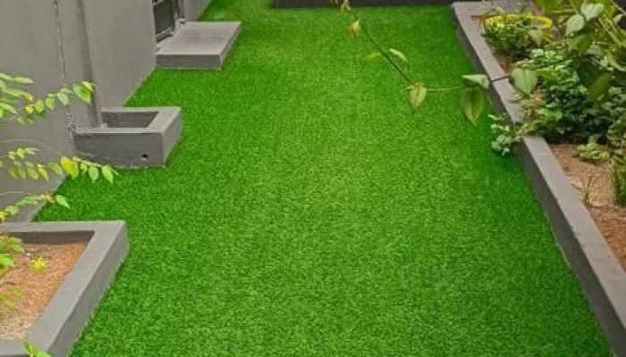 Doggy Ville The Canine Club