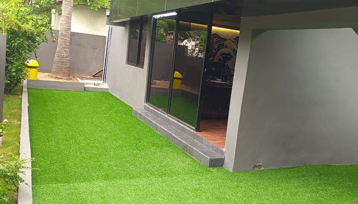 Doggy Ville The Canine Club