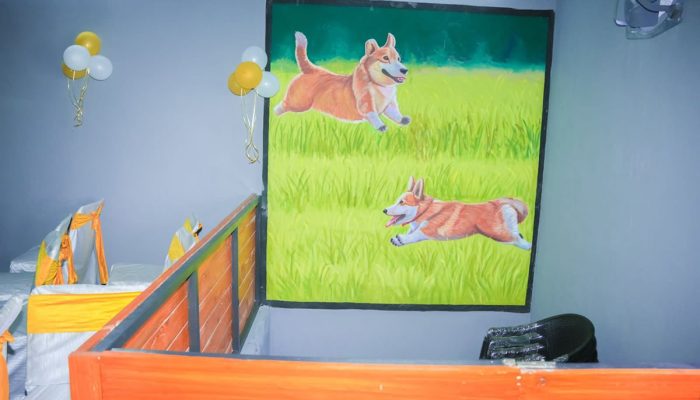 Doggy Ville The Canine Club