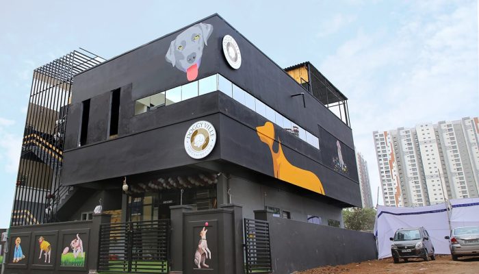 Doggy Ville The Canine Club