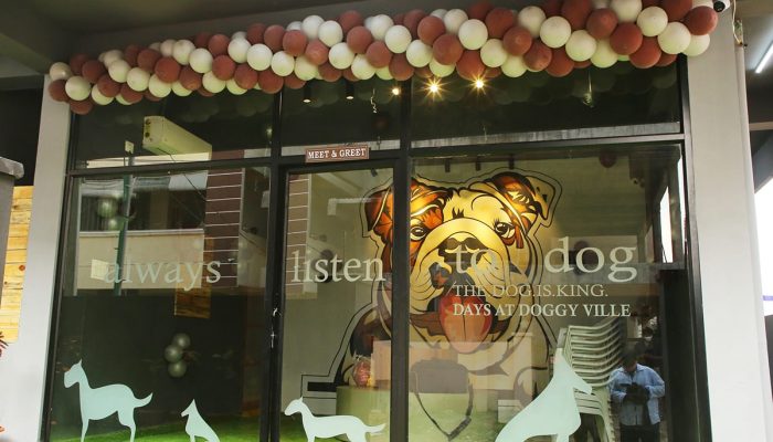 Doggy Ville The Canine Club