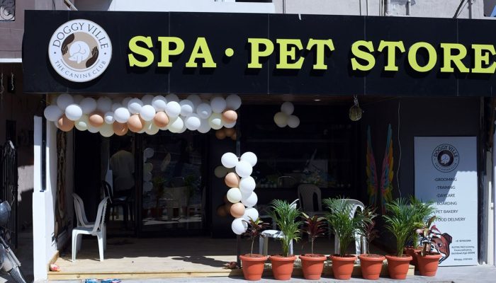 Doggy Ville The Canine Club