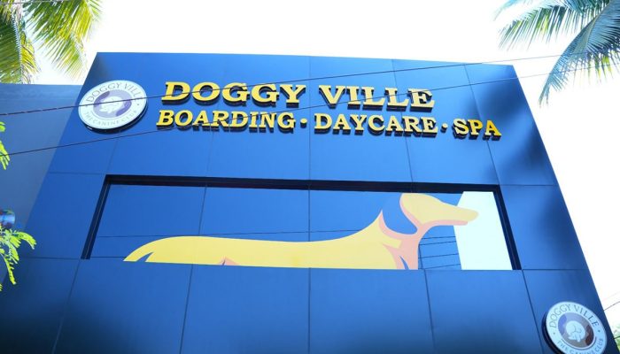 Doggy Ville The Canine Club