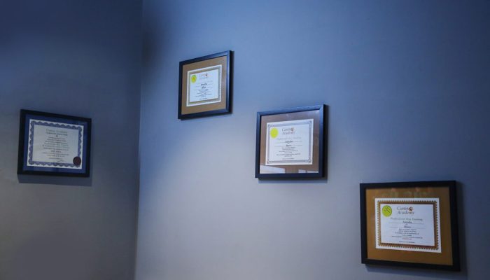 Doggy Ville The Canine Club