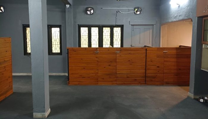 Doggy Ville The Canine Club