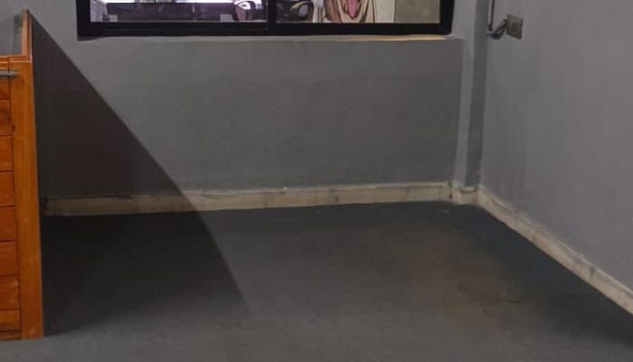 Doggy Ville The Canine Club