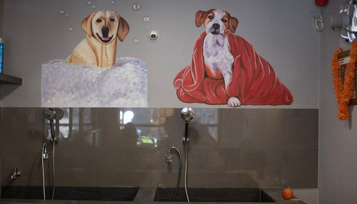 Doggy Ville The Canine Club