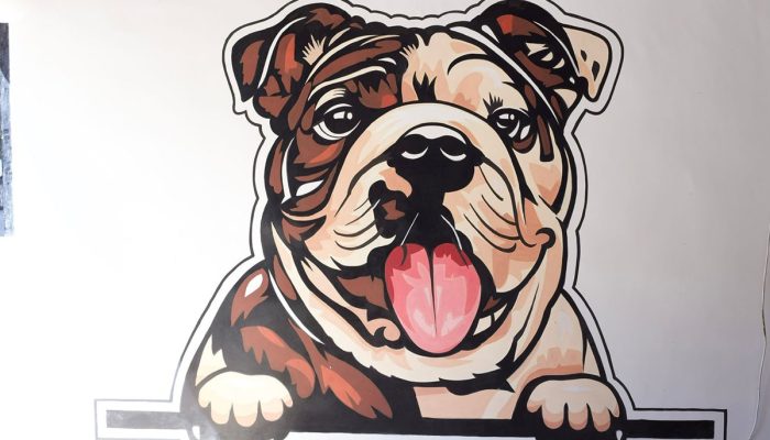 Doggy Ville The Canine Club