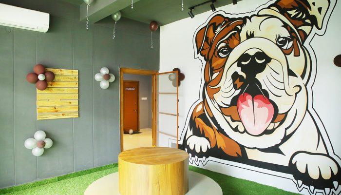 Doggy Ville The Canine Club