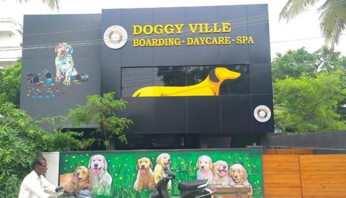 Doggy Ville The Canine Club