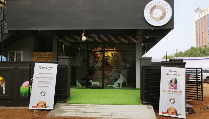 Doggy Ville The Canine Club